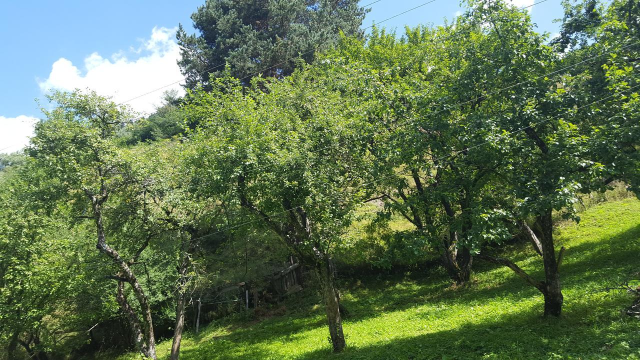 Raul Lushnu Darbaz Bed & Breakfast Mestia Exterior foto