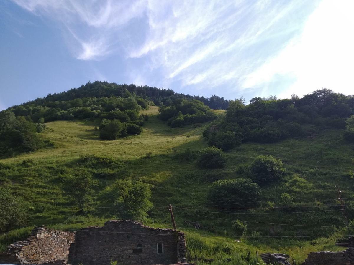 Raul Lushnu Darbaz Bed & Breakfast Mestia Exterior foto
