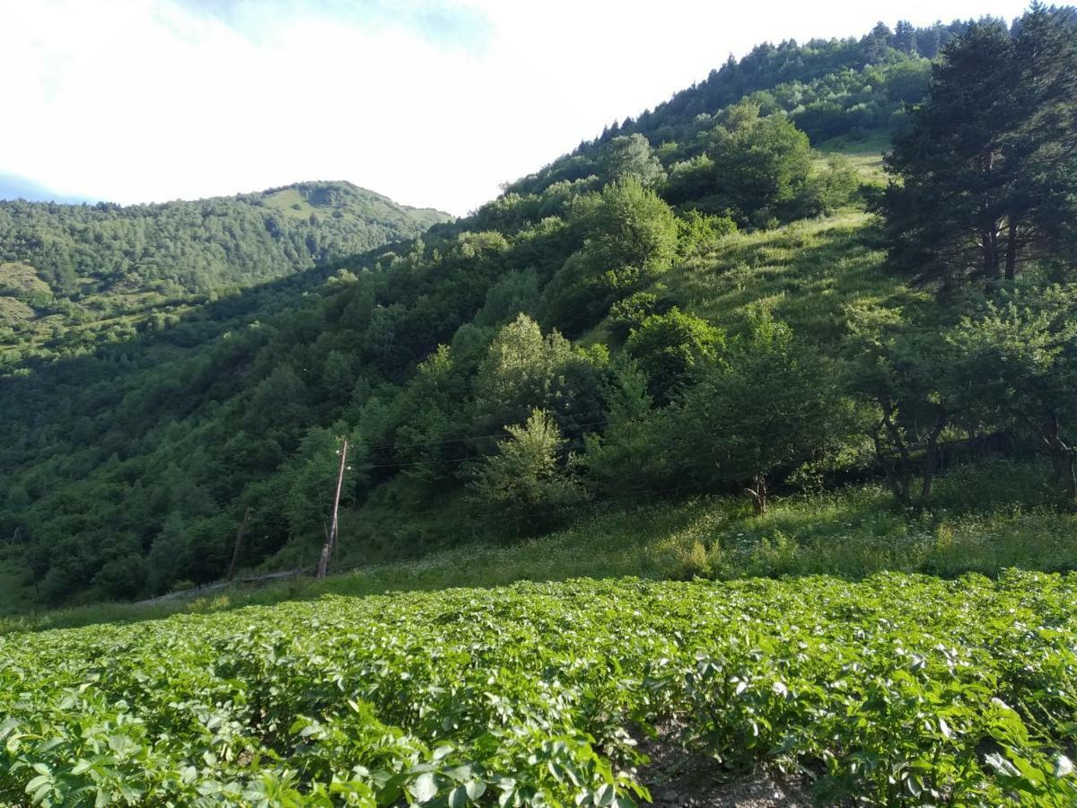 Raul Lushnu Darbaz Bed & Breakfast Mestia Exterior foto